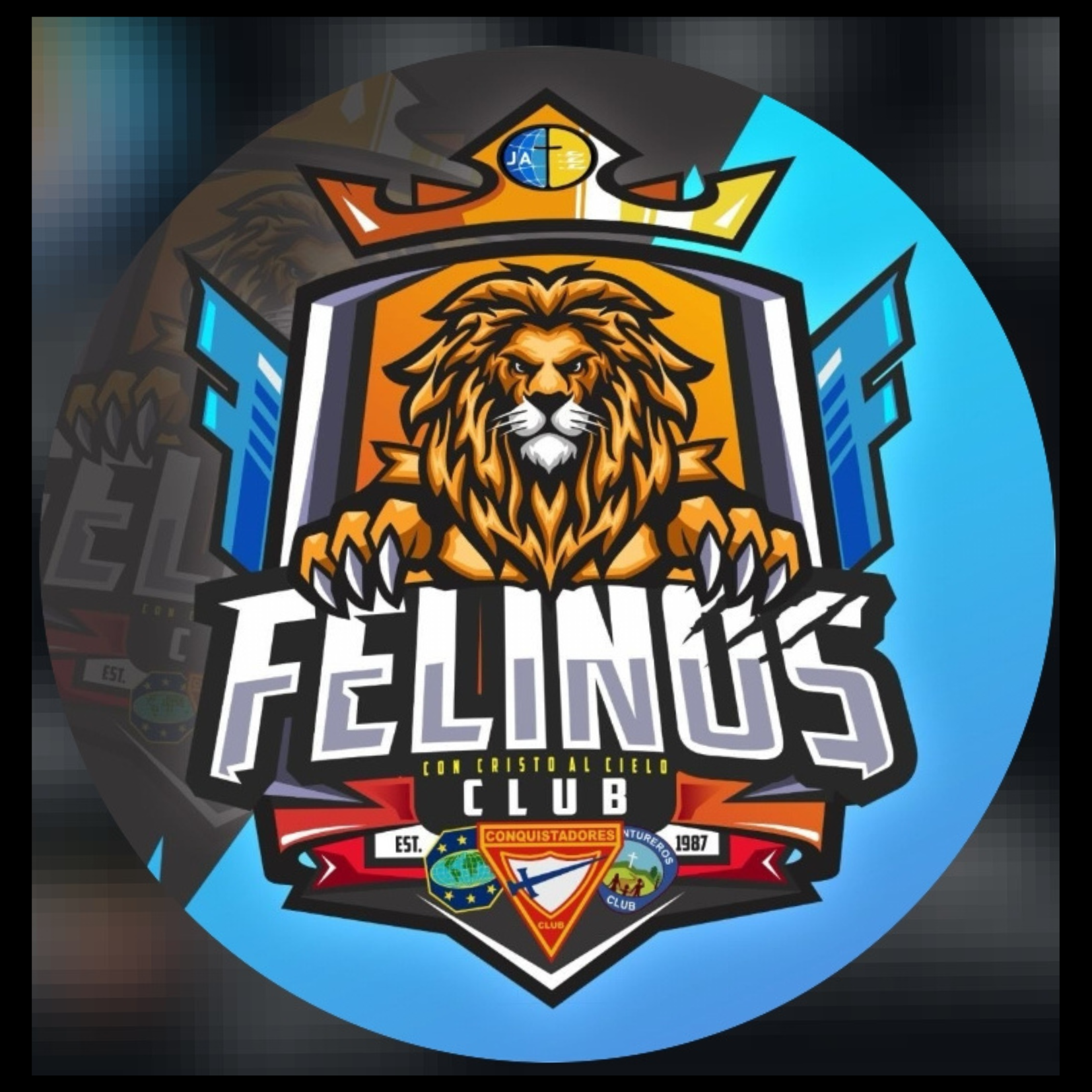 LOS FELINOS jr